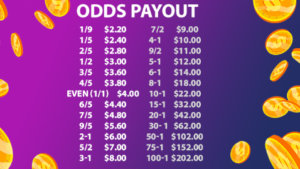6 5 Odds