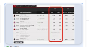 odds in betting