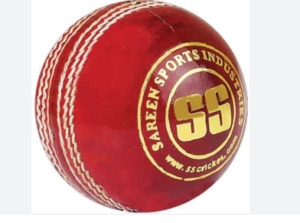 How Much Is Cricket Ball Price Now?
