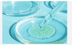 The jelly-like substance in a petri dish is called agar, or sometimes agar-agar. Agar is a natural polysaccharide derived from red algae. It provides a solid, nutrient-rich medium for cultivating microorganisms like bacteria and fungi in a controlled laboratory setting. Here's a more detailed explanation: Agar's Origin: Agar is obtained from red algae, specifically species like "ogonori" and "tengusa". Properties: Agar is a solid at room temperature but becomes liquid when heated to about 90-100°C. It then solidifies again when cooled. Function in Petri Dishes: Agar serves as a culture medium, providing nutrients and a stable environment for microorganisms to grow and multiply. Common Uses: Agar plates are widely used in microbiology, biotechnology, and food science to cultivate bacteria, yeasts, molds, and other microorganisms.