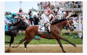 LIVE: Preakness Stakes 2025 Odds, Expert Picks & Weekend Horse Racing Updates | News | Kentucky