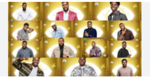 Meet the Housemates of BBNaija Season 10
