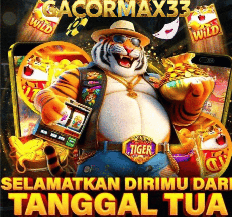 gacormax33.com