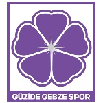 Güzide Gebzespor